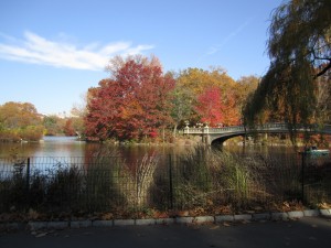 Central Park NY